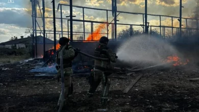 Росіяни вдарили по підприємству на Чернігівщині: знищено техніку, травмована худоба