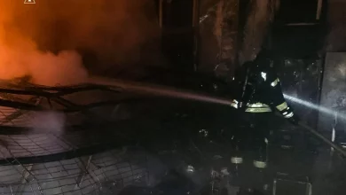 Нічні атаки на Київщині: у Броварському районі ліквідували дві пожежі