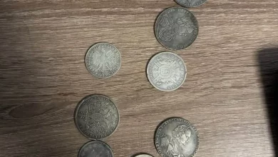 На кордоні з Румунією виявили 42 ймовірно цінні історичні предмети