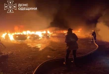Російська атака на Одещині пошкодила притулок для тварин і понад два десятки авто