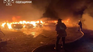 Російська атака на Одещині пошкодила притулок для тварин і понад два десятки авто