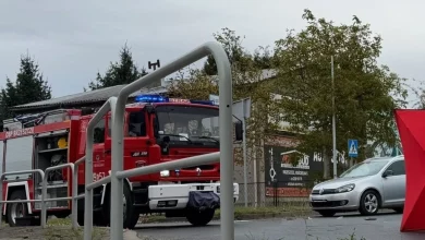 У Польщі 60-річний громадянин України на пішохідному переході смертельно травмував жінку