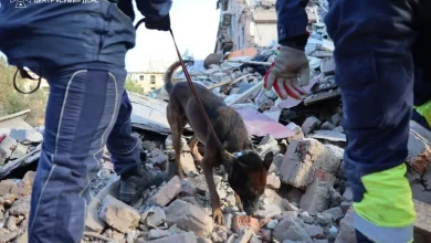 Кінологічні розрахунки ДСНС два дні шукали людей під завалами у Прилуках