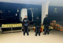 На пункті пропуску «Тиса» вилучили понад 650 кг речовини, схожої на наркотик кратом