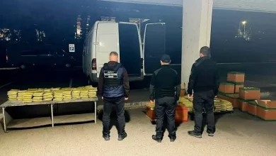 На пункті пропуску «Тиса» вилучили понад 650 кг речовини, схожої на наркотик кратом