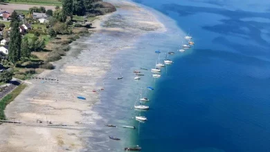 Боденське озеро в Німеччині обміліло до рекордно низького рівня