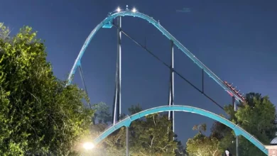 У парку Six Flags Over Georgia чоловік загинув, випавши з американських гірок