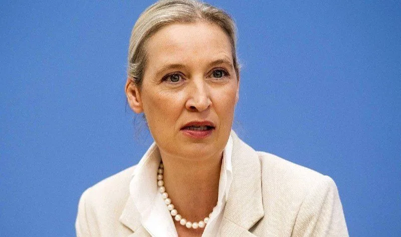 Лідерка АдН Аліса Вайдель закликала припинити військову допомогу Україні та тиснути на Зеленського