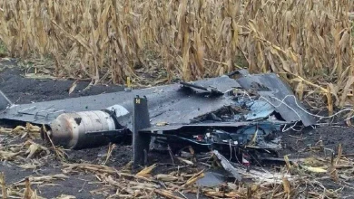 У Молдові впав безпілотник «Герань-4», Кишинів висилає російського дипломата