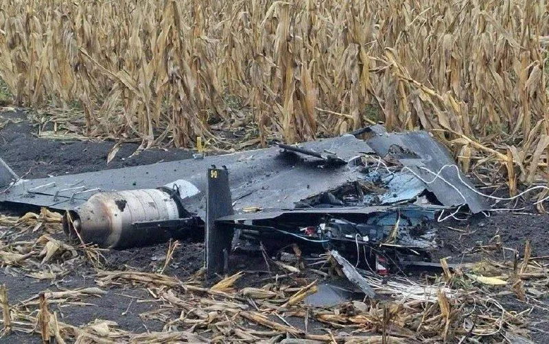 У Молдові впав безпілотник «Герань-4», Кишинів висилає російського дипломата