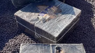 На Закарпатті у вантажному потязі виявили 4 тисячі пачок контрабандних сигарет