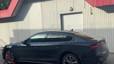 У пункті пропуску «Шегині» виявили викрадений автомобіль Audi, що перебував у розшуку Інтерполу