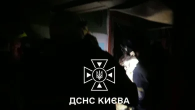 У Києві рятувальники дістали з-під завалів пораненого собаку