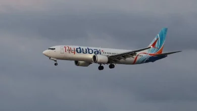 WSJ: другому пілоту рейсу Flydubai раніше забороняли літати в Омані через екстремізм